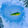 D&D Lures - Medium Mixed Mystery Lure Package - Image 9